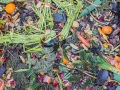 Comment fabriquer le meilleur des composts à la maison ?