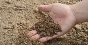 Comment fabriquer le meilleur des composts à la maison ?