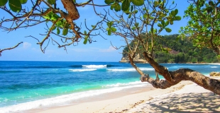 Papier peint en trompe l'œil : la bonne idée déco !