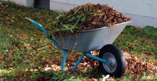 5 travaux de jardin à faire à l'automne