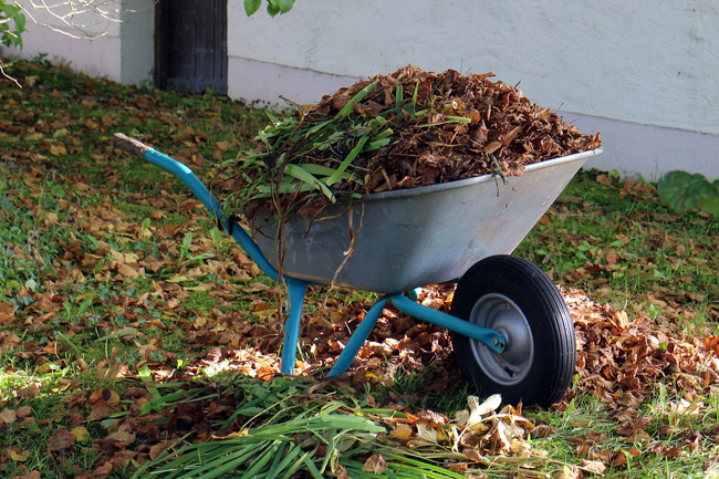 Cet automne prenez soin de votre jardin en 5 étapes