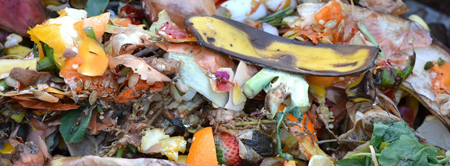 déchets qui vont au compost