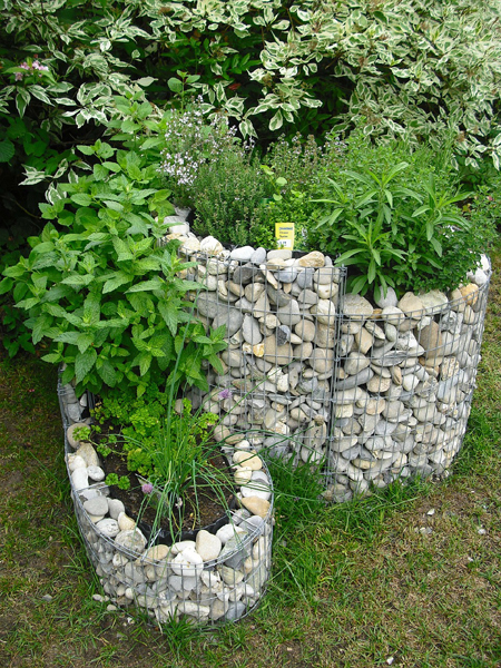 planter un jardin aromatique