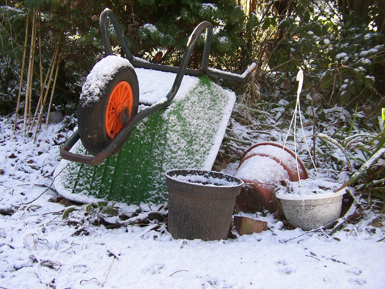 Jardin en hiver