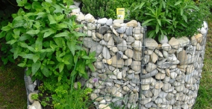 Les plantes aromatiques essentielles à avoir au jardin !