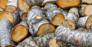 Qu'est-ce qu'un stère de bois de chauffage ?